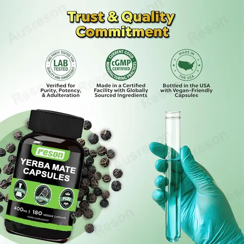 pure Yerba Mate capsules GMP certification | Reson