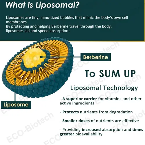 liposomal berberine gummies for Metabolic Support | supplier