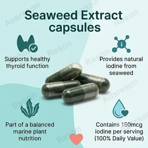 Seaweed Extract capsules manufacturer | natural dietary supplement
