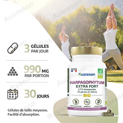 Harpagophytum bio capsules Devil’s Claw supplement | Reson