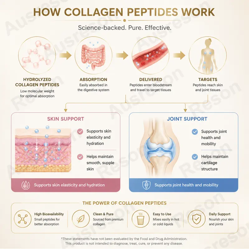 Hydrolyzed Collagen Peptides powder bioavailability Type I & Type III