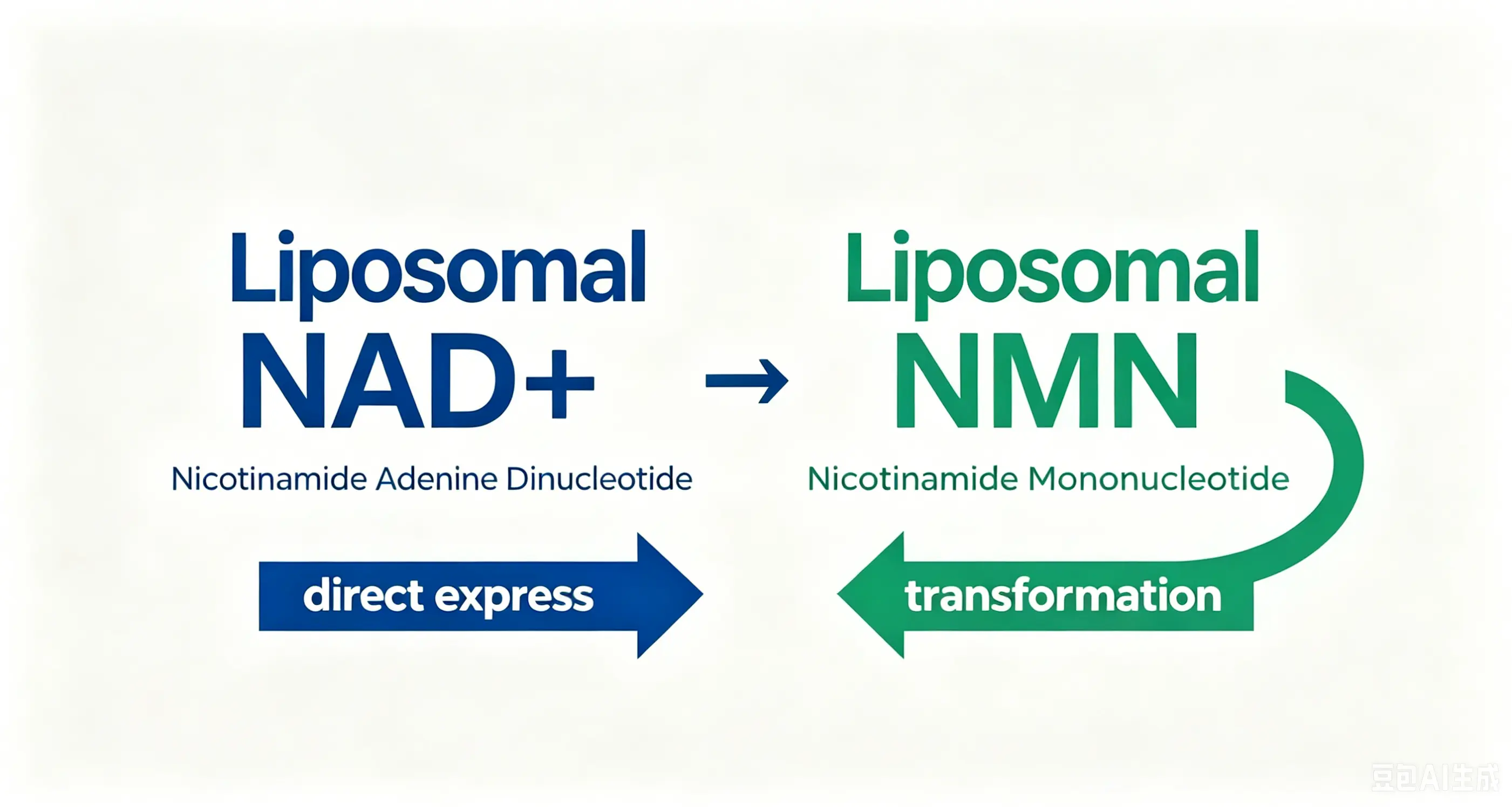 Liposomal NAD+ VS Liposomal NMN