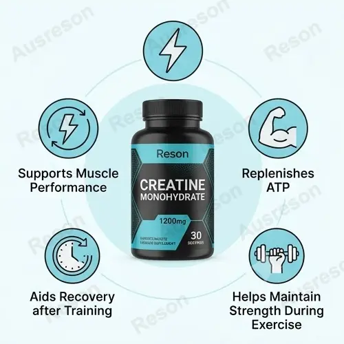 creatine capsules OEM manufacturers | Muscle & Energy Support