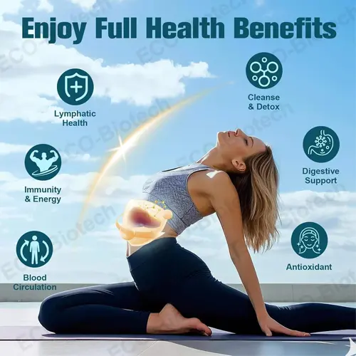 Liposomal Herbal Drops – Traditional Wellness Support