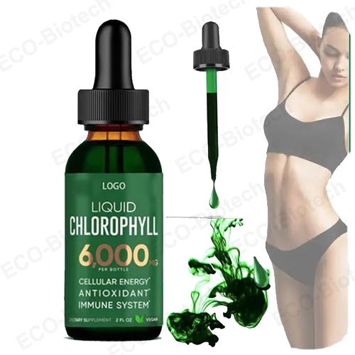 wholesale chlorophyll Liquid drops detox support supplement