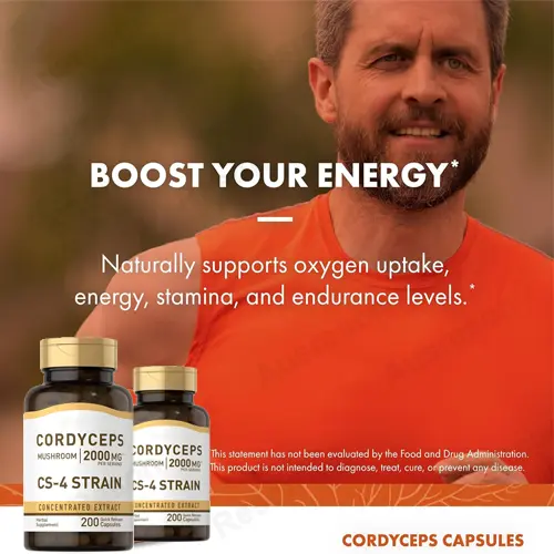 Cordyceps Capsules Energy Support Supplement | Reson