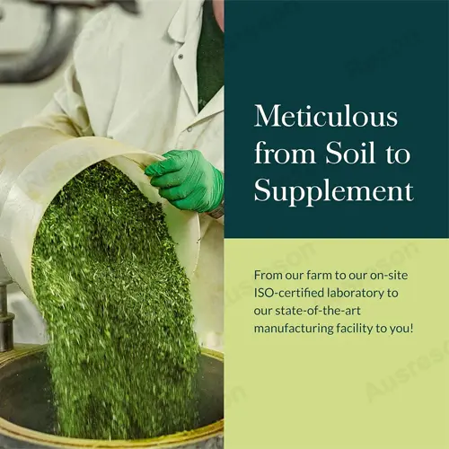 Vitex Berry Chasteberry capsules GMP factory | Reson