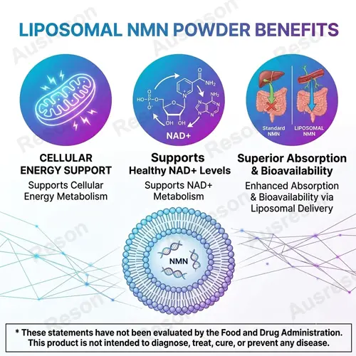 Liposomal NMN powder bulk supplier