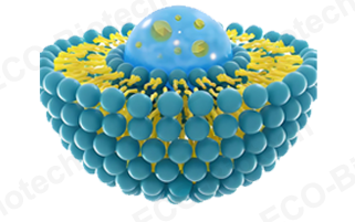 The Ultimate Guide to Liposome Technology