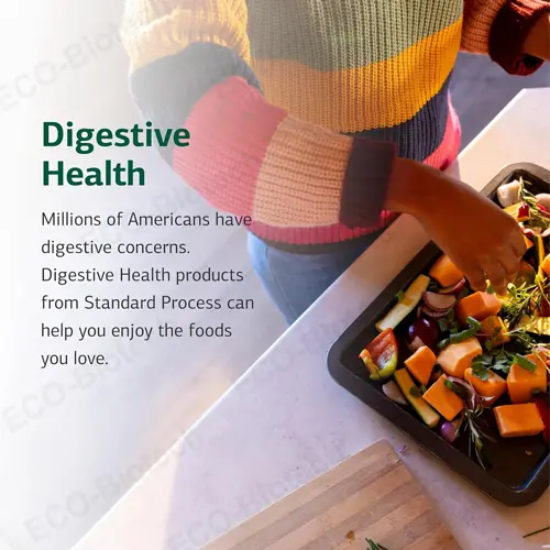 Lactic acid yeast for digestive health & bloating | Reson