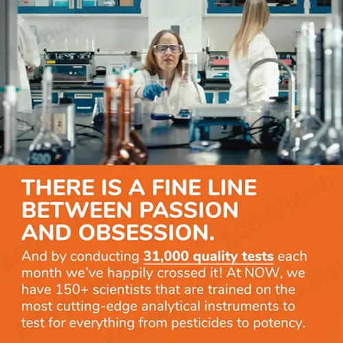 Wholesale Price Tribulus terrestris tablets | Reson