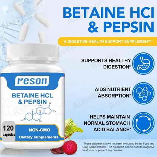 best betaine hcl with pepsin supplement Manufacturer