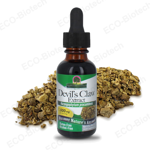 Devil's Claw extract Liquid | Supports Joint Function | Reson