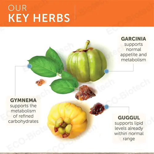 garcinia cambogia gummies for Metabolic Support | oem Manufacturer