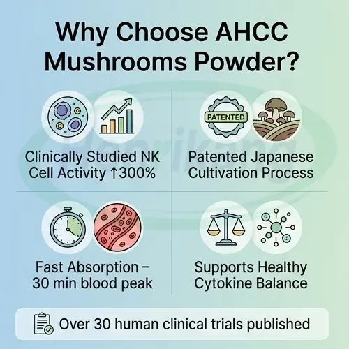 AHCC Mushroom Powder Bulk | High-Purity Immune Support
