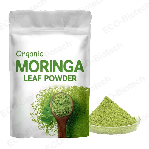 Pure organic Superfood Moringa Leaf Powder supplier