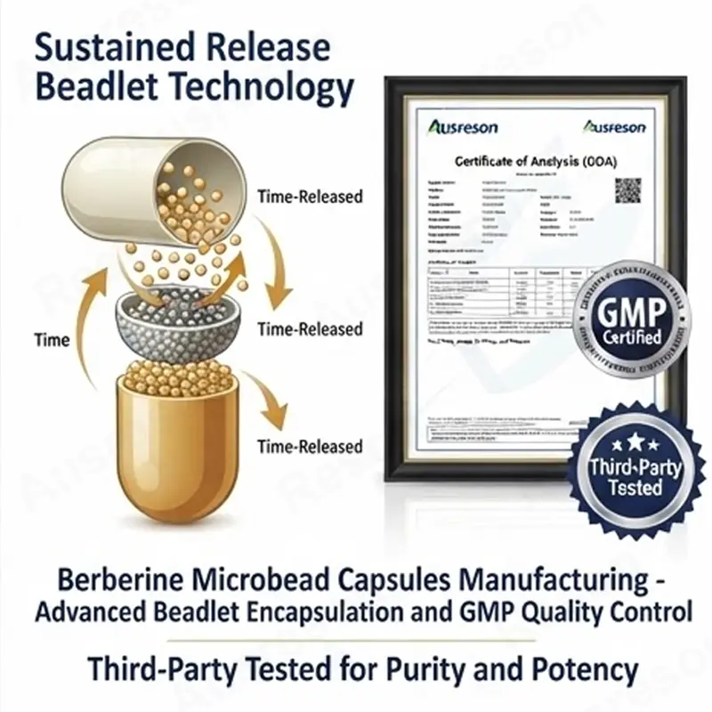High absorption Berberine microbead capsules metabolic health supplier