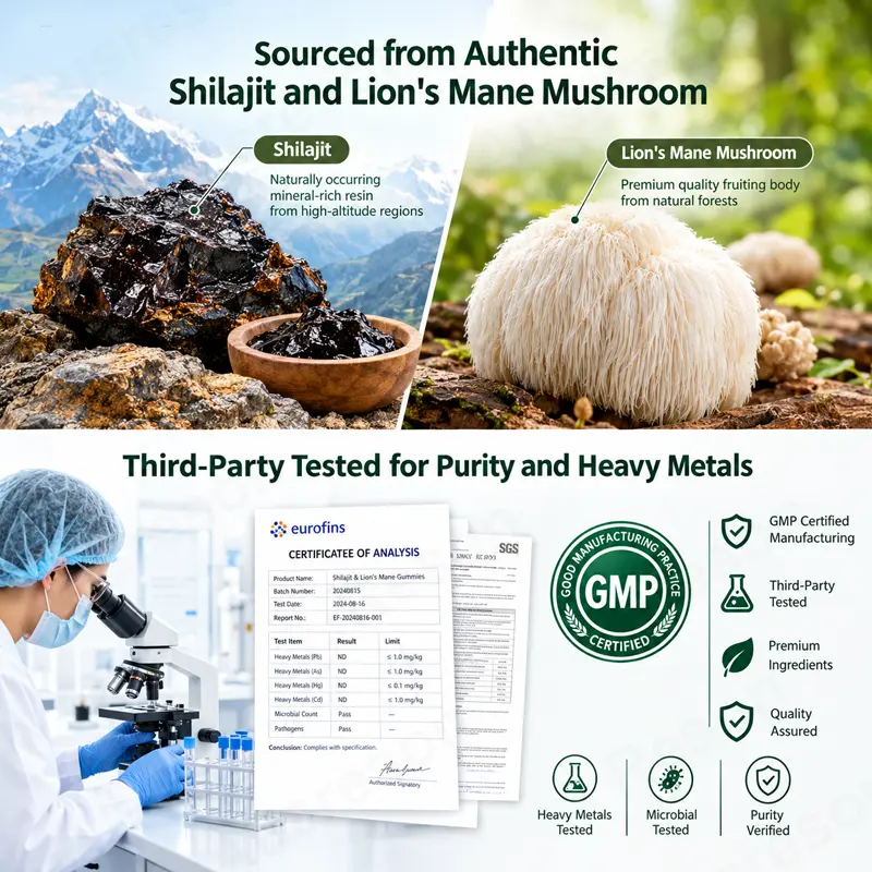 Shilajit Lion's Mane gummies brain supplement OEM Manufacturer
