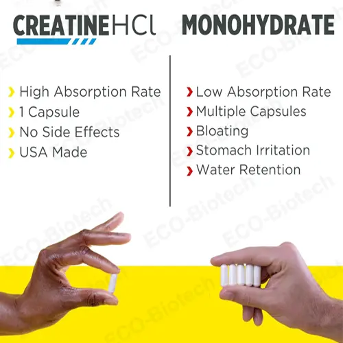 Creatine HCl Capsules Muscle and Energy Support
