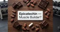Does epicatechin really build muscle?