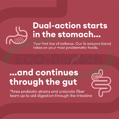 amazing Superfood Effervescent Tablets oem Private label