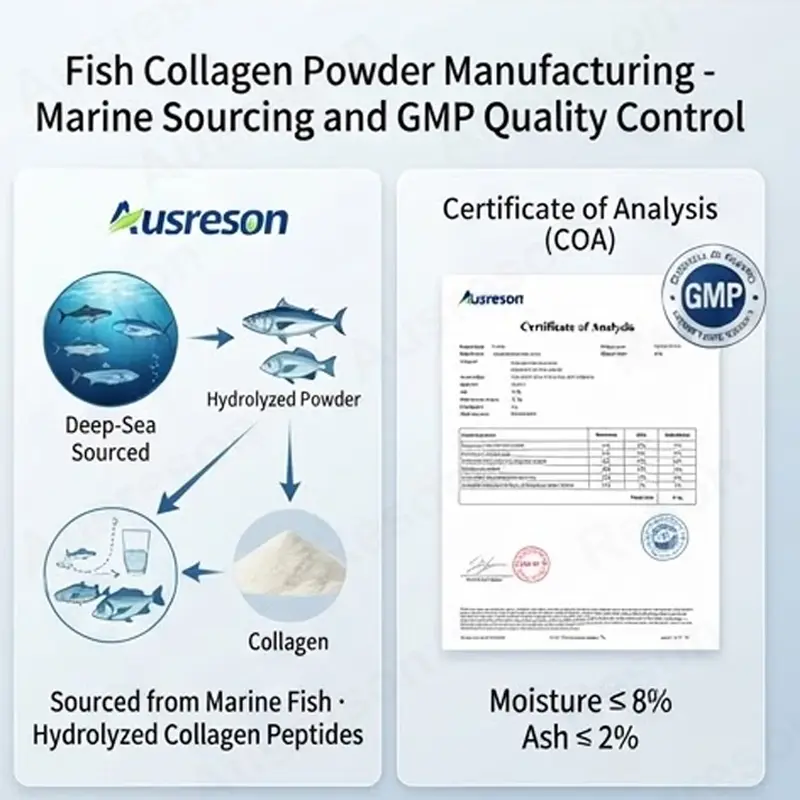 fish Type I collagen powder bulk supplier