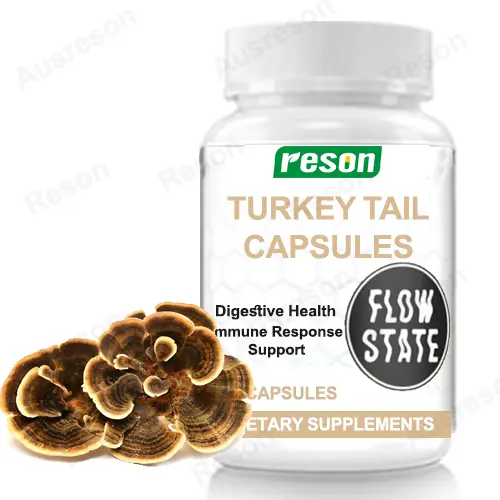 wholesale Turkey Tail capsules for immune support | Reson