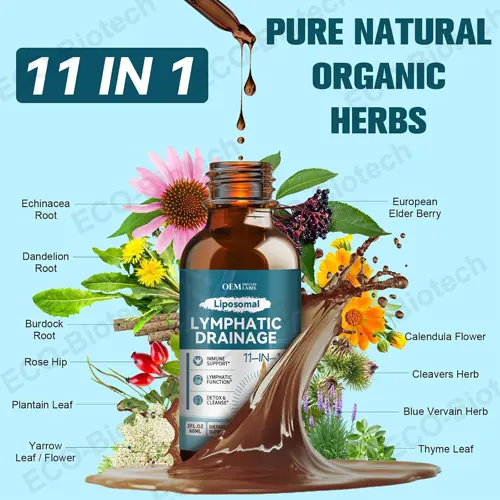 Liposomal Herbal Drops – Traditional Wellness Support