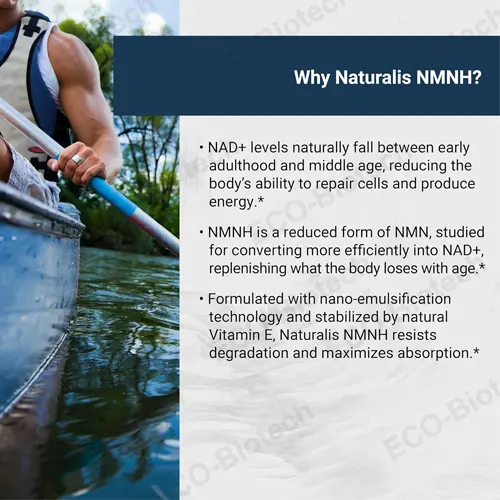 liposomal nmnh capsules manufacturer | NAD+ Booster