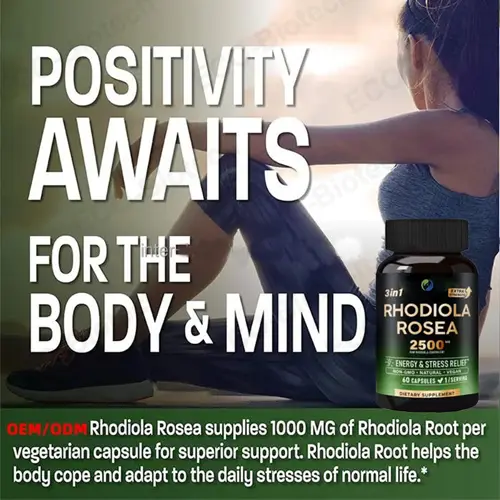 rhodiola rosea extract tablets 500mg Standardized Extract | OEM