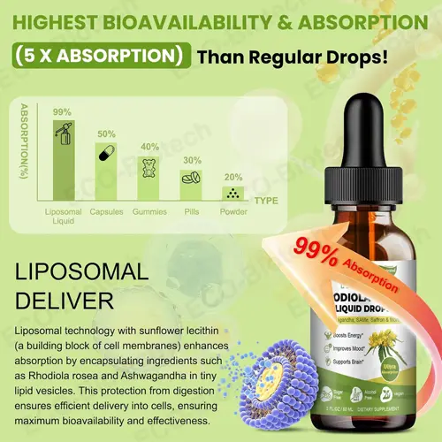 Liposomal Rhodiola Rosea drops OEM | Stress & Energy Support