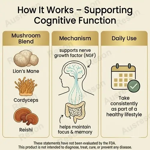 Cognition Mushroom Complex capsules | OEM Manufacturer