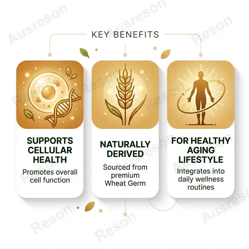 spermidine softgel capsules OEM Premium Cellular Health Supplement
