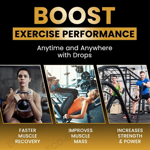 liposomal creatine liquid drops Brain energy and focus supplier