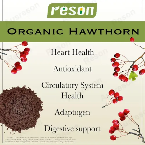 Standardized Hawthorn Berry Capsules supplement | Reson