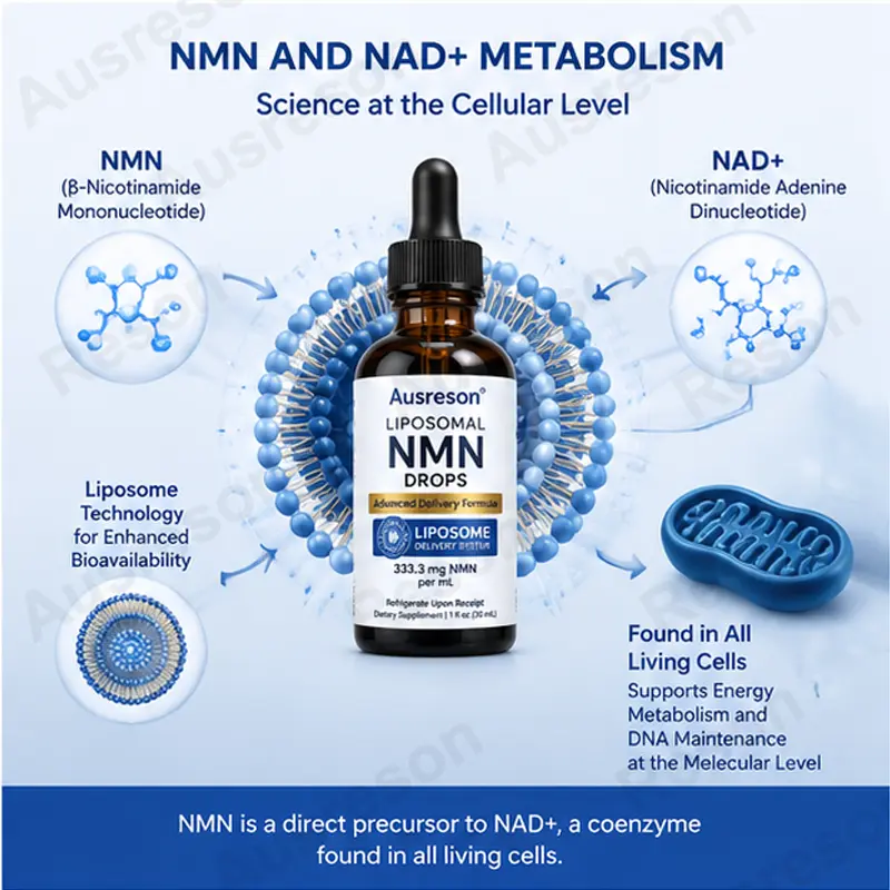 Liposomal NMN drops bioavailability OEM Manufacturer