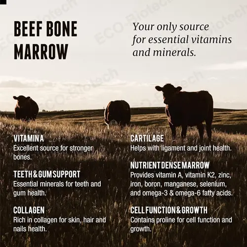 Grass Fed Beef Bone Marrow capsules supplier