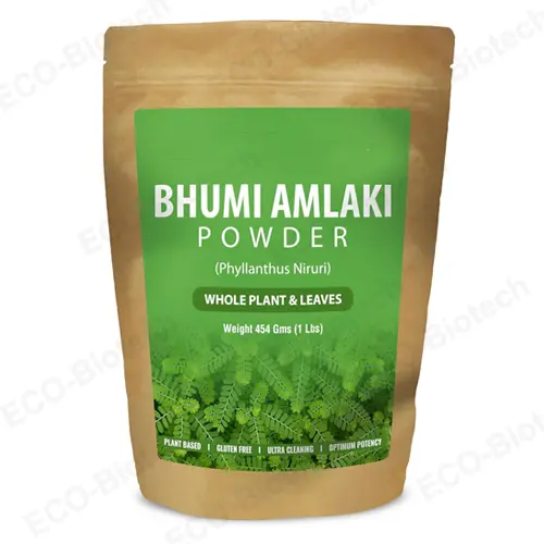 Pure Bhumi Amalaki Powder | Premium Wholesale Organic Grade