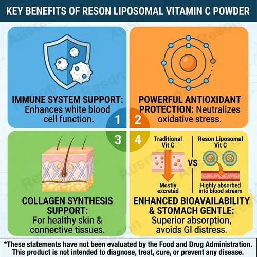 Liposomal Vitamin C powder bulk supplier
