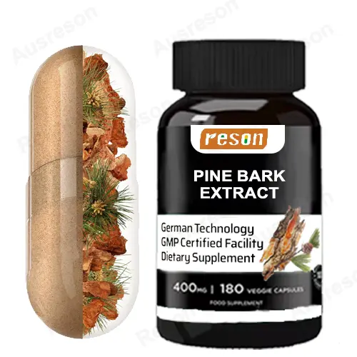 wholesale Pine Bark Extract capsules 95% OPC supplement | Reson