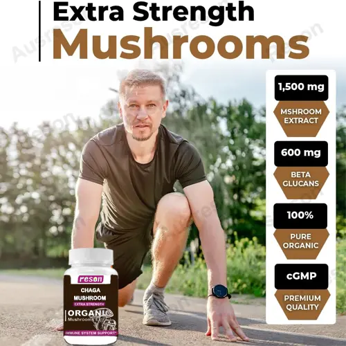 Chaga Mushroom Capsules Immune System Support Supplement