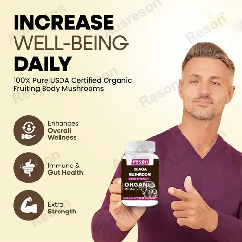 Chaga Mushroom Capsules Immune System Support Supplement