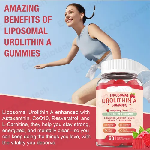 Liposomal Urolithin A Gummies manufacturer | Cellular Support