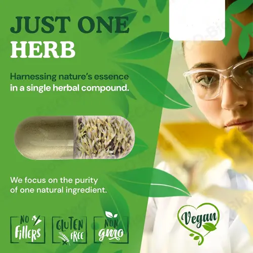 Seaweed capsules: Support thyroid health and metabolism