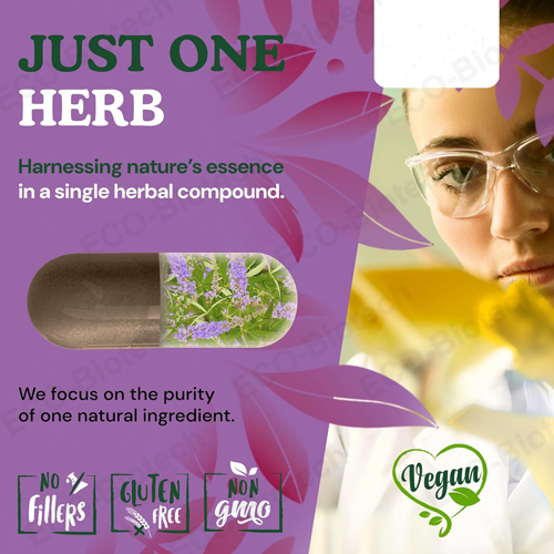 Vitex Chasteberry capsules | hormone balance supplement