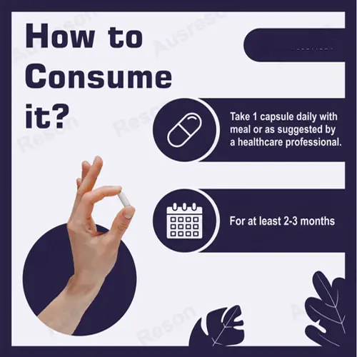 Ox Bile Capsules Non-GMO digestive support | Reson