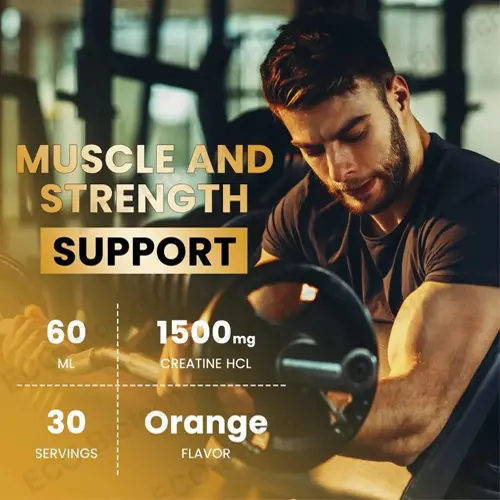 liposomal creatine liquid drops Brain energy and focus | supplier