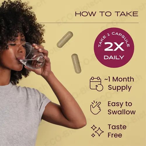 Guayusa Capsules: Nootropic Brain Supplements for Focus