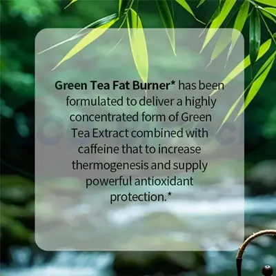 GMP green tea Softgels OEM supplier | Reson