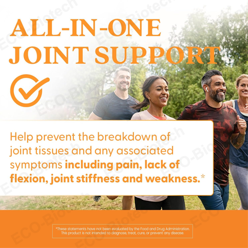 Glucosamine Chondroitin MSM Capsules | Joint Support Supplement